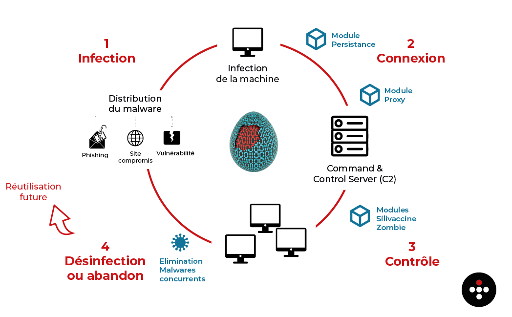 Schéma du cycle de vie d'une machine infectée par le botnet Zergeca